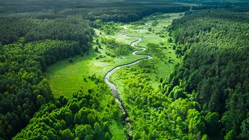 AdobeStock_443142435