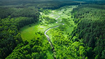 AdobeStock_443142435